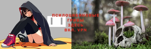 стафф Белоозёрский