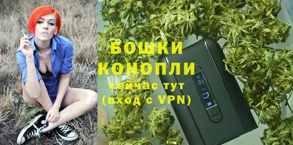 кокс Белокуриха