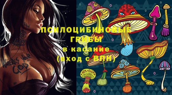 стафф Белоозёрский