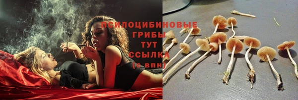 стафф Белоозёрский