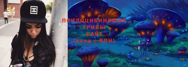 кокс Белокуриха